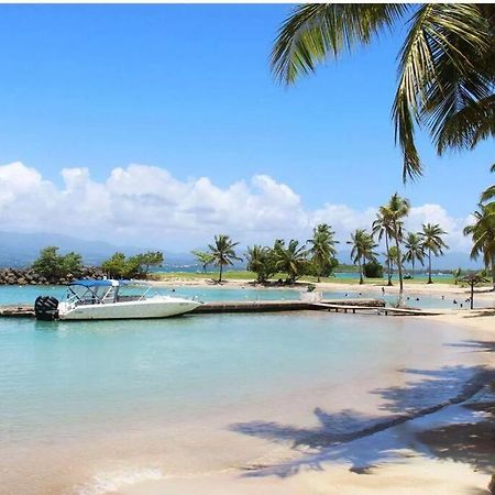 Studio Confort Pres Des Plages Le Gosier  Buitenkant foto