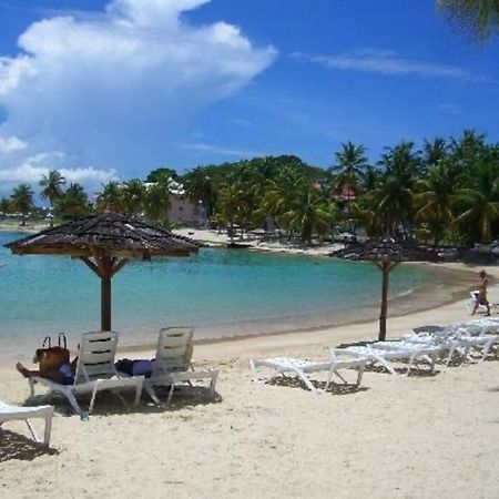 Studio Confort Pres Des Plages Le Gosier  Buitenkant foto