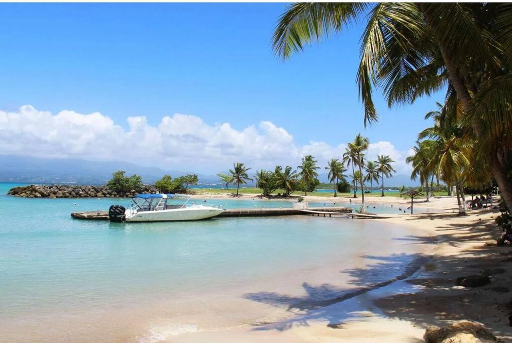 Studio Confort Pres Des Plages Le Gosier  Buitenkant foto